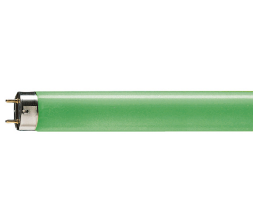 Tub fluorescent T8 Philips TL-D 36W/17 Green, G13, 12000 ore