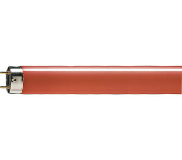 Imagine Tub fluorescent T26 Philips TL-D liniar 36W G13 lumina rosie 55LM