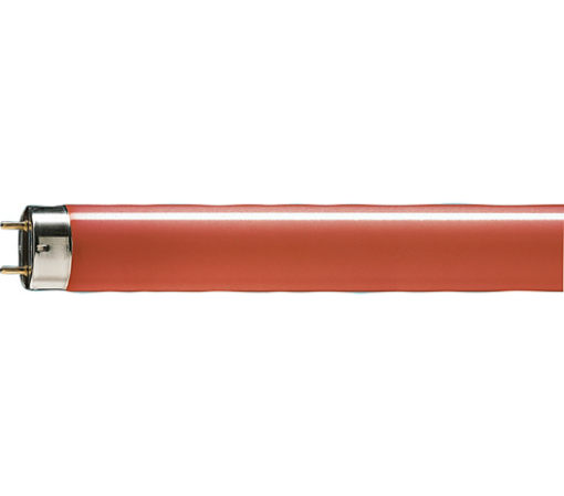 Tub fluorescent T26 Philips TL-D liniar 36W G13 lumina rosie 55LM