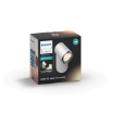 Philips Hue Adore White Spot Baie PS03600