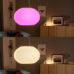 xx Philips Hue Pendul Flourish White and Color Ambiance BT PS03757