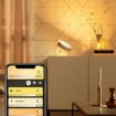 xx Philips Hue Iris Gold BT White and Colour Ambiance - Limited Edition