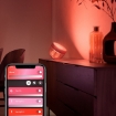 xx Philips Hue Iris Copper BT White and Colour Ambiance - Limited Edition