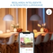 Bec LED WiZ smart WIFI Bluetooth E27 1055lm G95 Tunable White