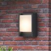 Aplica LED exterior Philips Arbour Anthracite 6W PC01511