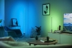xx Pachet Philips Hue 2 x Signe White and Color Ambiance