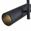 Plafoniera dormitor Maytoni Elti Black C020CL-01B