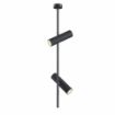 Plafoniera dormitor Maytoni Elti Black C021CL-02B