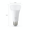 xx Bec LED Philips Hue BT A67 E27 15.5W 1600LM White