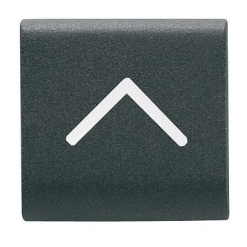 Tasta inlocuibila Gewiss Chorus Monochrome Negru GW12545