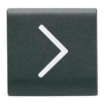 Tasta inlocuibila Gewiss Chorus Monochrome Negru GW12546