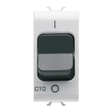 Disjunctor bipolar Gewiss Chorus Monochrome 1P N C10 3KA 1 modul Alb Satinat GW15467