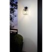 Aplica exterior Eglo Trecate Black 97296 sticla transparent
