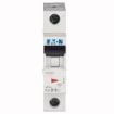 Siguranta automata Eaton 1P 16A 6kA PL6-B16/1