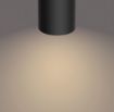 Poza cu Plafoniera LED neagra Philips Byrl Scene Switch 2x4.3W 24V PC02707