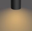 Imagine Plafoniera LED neagra Philips Byrl Scene Switch 4x4.3W 24V PC02709
