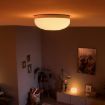Plafoniera Philips Hue Flourish White and Color Ambiance BT 32.5W