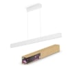 Philips Hue Pendul Ensis White and Color Ambiance BT 2x39.5W