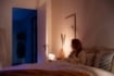 Philips Hue Iris White BT White and Colour Ambiance PS04043