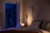 Philips Hue Iris White BT White and Colour Ambiance PS04043