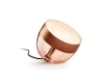 Philips Hue Iris Copper BT White and Colour Ambiance