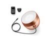 Philips Hue Iris Copper BT White and Colour Ambiance