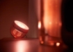 Philips Hue Iris Copper BT White and Colour Ambiance