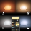Philips Hue Veioza Flourish White and Color Ambiance BT 9.5W