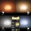 Philips Hue Veioza Flourish White and Color Ambiance BT 9.5W