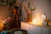 Philips Hue Veioza Flourish White and Color Ambiance BT 9.5W