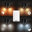 Spot aplicat Philips Hue Pillar Black BT 2x5W White Ambiance