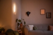 Aplica alba Philips Hue Liane BT 12W White and Color Ambiance