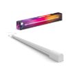 Tub Philips Hue Play Gradient White 40-55inch White and Color Ambiance