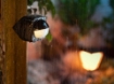 Senzor miscare Philips Hue Outdoor IP54 Black