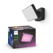 Philips Hue Outdoor Discover White and Color Ambiance PS03682