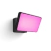 Philips Hue Outdoor Discover White and Color Ambiance PS03682