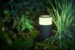 Philips Hue Outdoor Extensie Postament Calla White and Color Ambiance PS03589