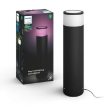Philips Hue Outdoor Calla White and Color Ambiance PS03689