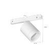 Philips Hue Perifo extensie spot BT White 5.3W White and Color Ambiance
