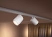 Philips Hue Perifo extensie spot BT White 5.3W White and Color Ambiance