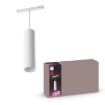 Philips Hue Perifo pendul extensie BT White 5.2W White and Color Ambiance