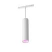 Philips Hue Perifo pendul extensie BT White 5.2W White and Color Ambiance