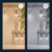 Ghirlanda WiZ Connected 12 lights RGB 1480cm IP65