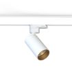 Spot sina Nowodvorski CTLS Mono White-Gold 10238 otel alb