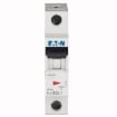 Siguranta automata Eaton 1P 32A 6kA PL6-B32/1 286524