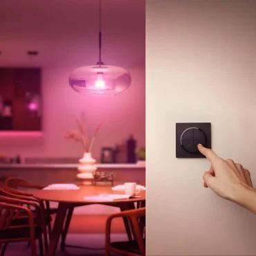 Accesorii Inteligente