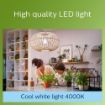 Bec LED Philips E27 A60 4W 4000k 840lm PS04715