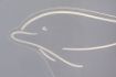 Veioza LED copii Akali Wood Dolphin 2W 50lm 76002 acril transparent