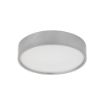 Plafoniera LED Rabalux Larcia Silver 18W 1060lm 75010 plastic argintiu