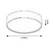 Plafoniera LED Rabalux Larcia Silver 18W 1060lm 75010 plastic argintiu
